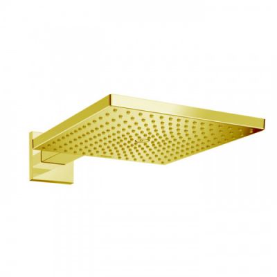 Hansgrohe Raindance Верхний душ, 300х300мм, 1 jet, с настенным держателем 390мм, цвет: золото 26238990