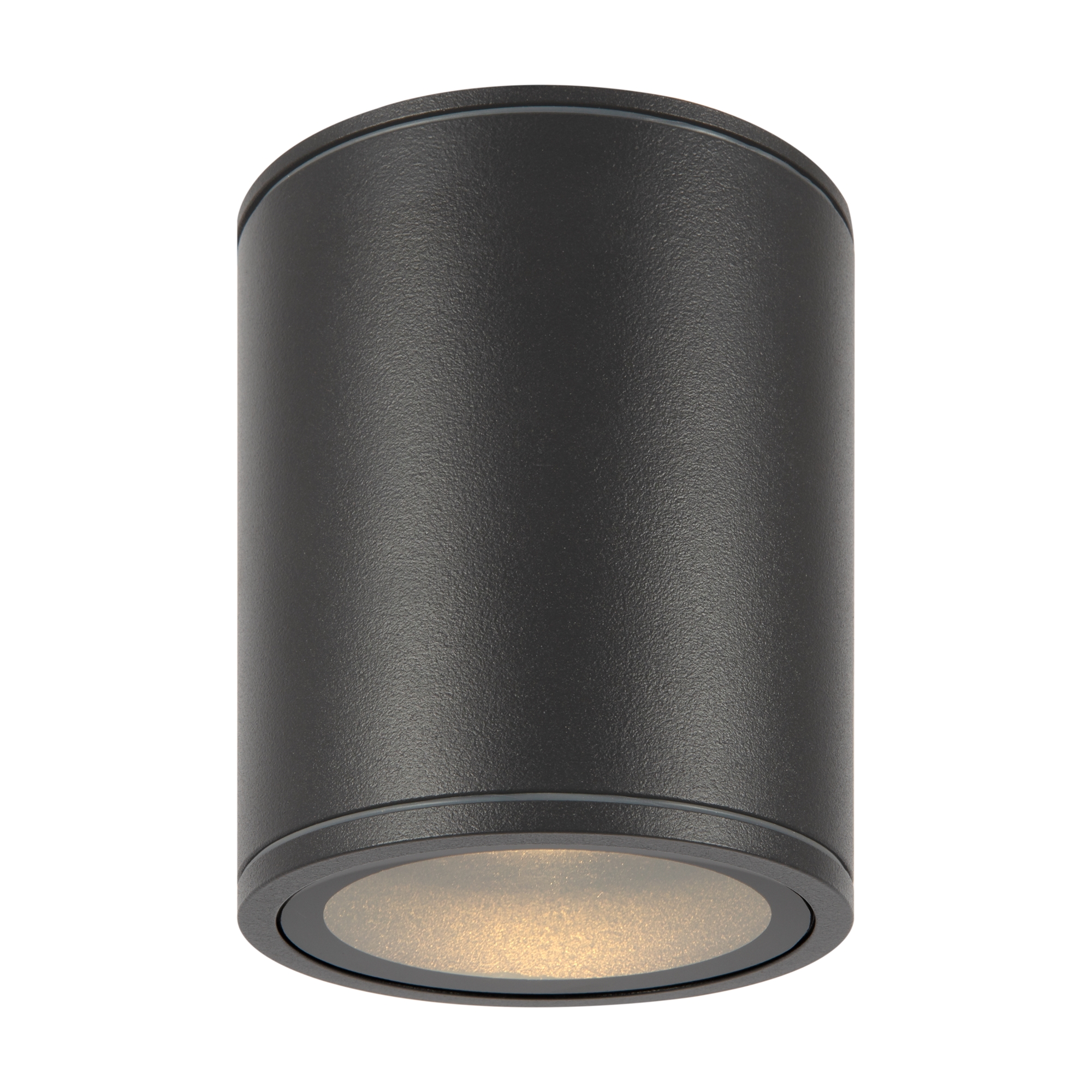 Maytoni OutdoorПотолочный светильник O306CL-L12GF